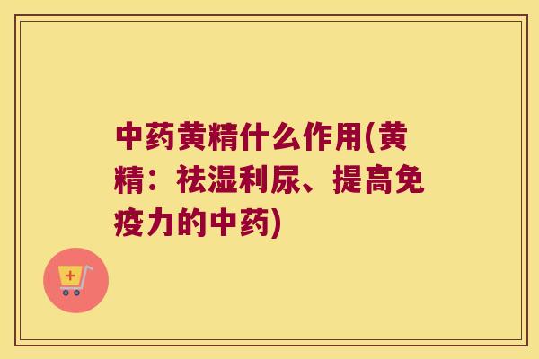 黄精什么作用(黄精：祛湿利尿、提高力的)
