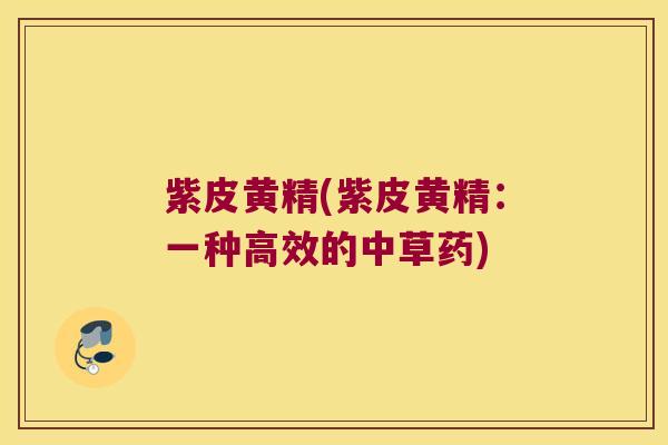 紫皮黄精(紫皮黄精:一种高效的中草药) 紫皮黄精(紫皮黄精:一种高效的中草药)