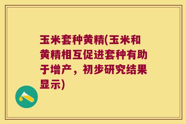 玉米套种黄精(玉米和黄精相互促进套种有助于增产，初步研究结果显示)