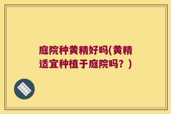 庭院种黄精好吗(黄精适宜种植于庭院吗？)