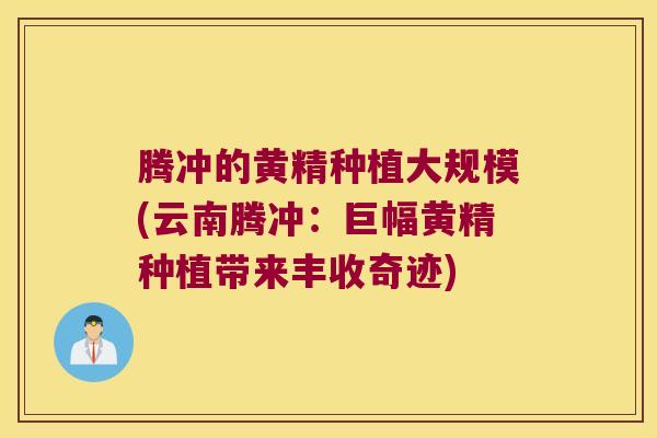 腾冲的黄精种植大规模(云南腾冲：巨幅黄精种植带来丰收奇迹)