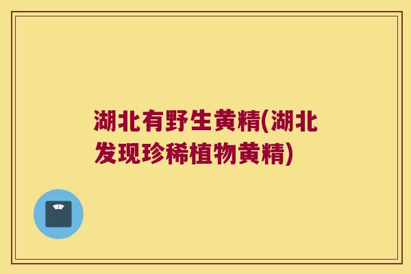 湖北有野生黄精(湖北发现珍稀植物黄精)
