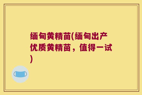 缅甸黄精苗(缅甸出产优质黄精苗，值得一试)