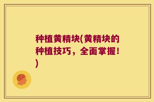 种植黄精块(黄精块的种植技巧,全面掌握!) 种植黄精块(黄精块的种植技巧,全面掌握!)