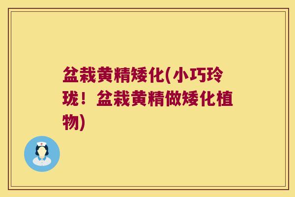 盆栽黄精矮化(小巧玲珑！盆栽黄精做矮化植物)