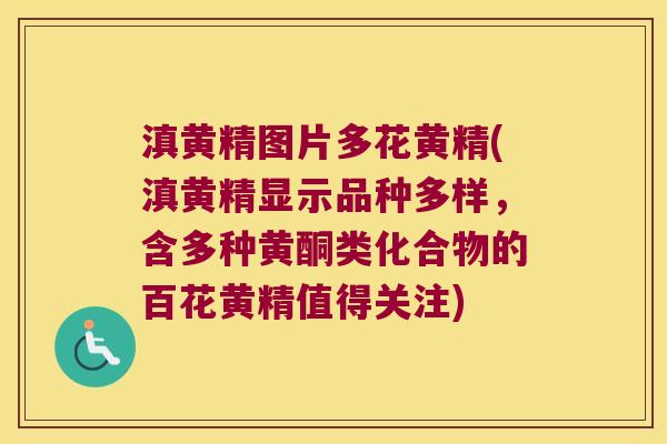 滇黄精图片多花黄精(滇黄精显示品种多样,含多种黄酮类化合物的百花黄精值得关注) 滇黄精图片多花黄精(滇黄精显示品种多样,含多种黄酮类化合物的百花黄精值得关注)