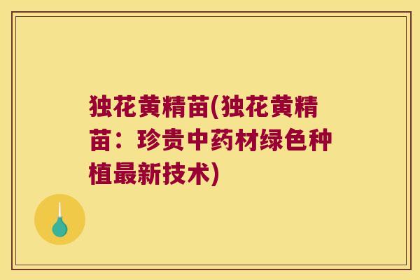 独花黄精苗(独花黄精苗：珍贵材绿色种植新技术)