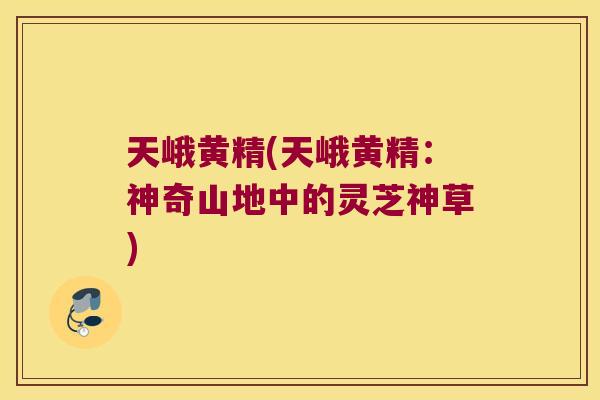 天峨黄精(天峨黄精：神奇山地中的灵芝神草)