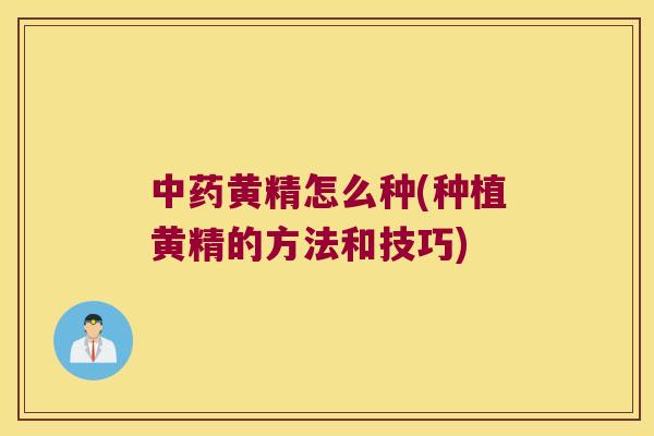 黄精怎么种(种植黄精的方法和技巧) 黄精怎么种(种植黄精的方法和技巧)