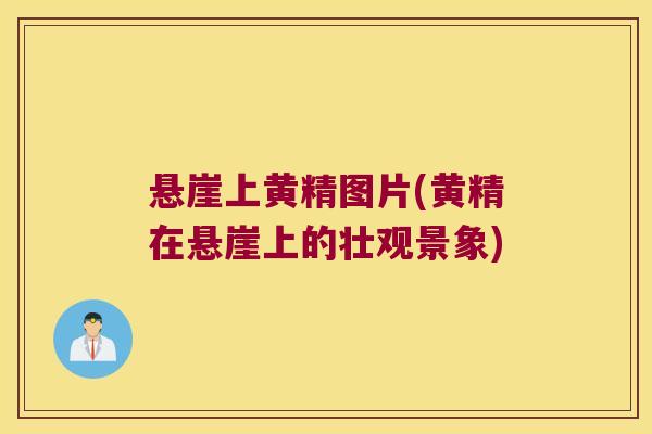 悬崖上黄精图片(黄精在悬崖上的壮观景象) 悬崖上黄精图片(黄精在悬崖上的壮观景象)