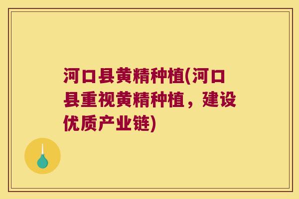 河口县黄精种植(河口县重视黄精种植，建设优质产业链)