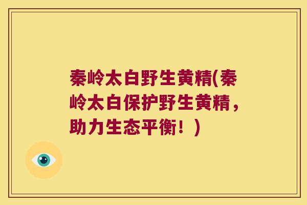 秦岭太白野生黄精(秦岭太白保护野生黄精,助力生态平衡!) 秦岭太白野生黄精(秦岭太白保护野生黄精,助力生态平衡!)