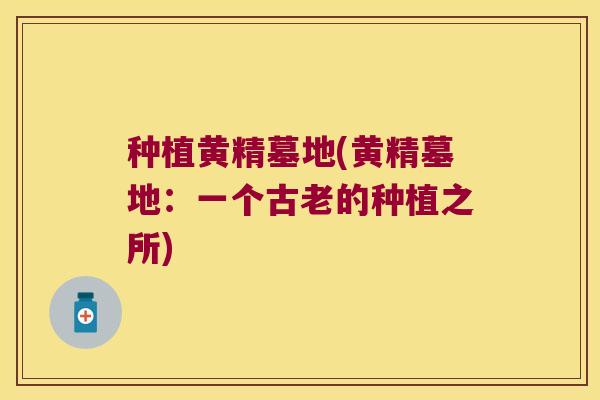 种植黄精墓地(黄精墓地：一个古老的种植之所)