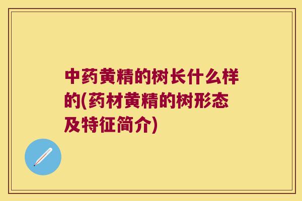 黄精的树长什么样的(药材黄精的树形态及特征简介)
