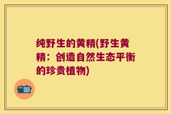 纯野生的黄精(野生黄精:创造自然生态平衡的珍贵植物) 纯野生的黄精(野生黄精:创造自然生态平衡的珍贵植物)