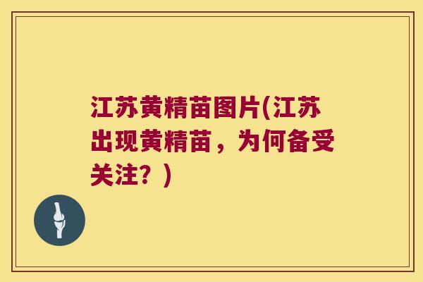 江苏黄精苗图片(江苏出现黄精苗，为何备受关注？)