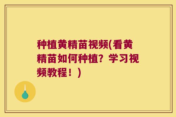 种植黄精苗视频(看黄精苗如何种植？学习视频教程！)