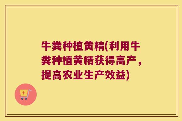 牛粪种植黄精(利用牛粪种植黄精获得高产,提高农业生产效益) 牛粪种植黄精(利用牛粪种植黄精获得高产,提高农业生产效益)