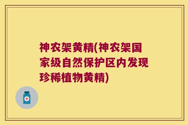 神农架黄精(神农架国家级自然保护区内发现珍稀植物黄精) 神农架黄精(神农架国家级自然保护区内发现珍稀植物黄精)