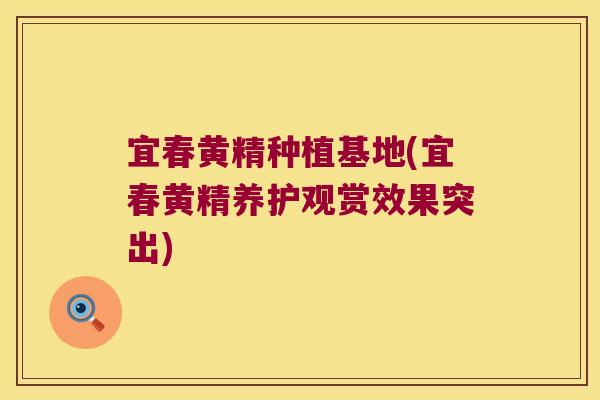 宜春黄精种植基地(宜春黄精养护观赏效果突出) 宜春黄精种植基地(宜春黄精养护观赏效果突出)