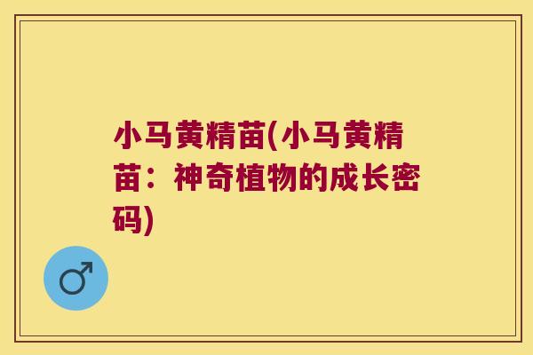 小马黄精苗(小马黄精苗：神奇植物的成长密码)