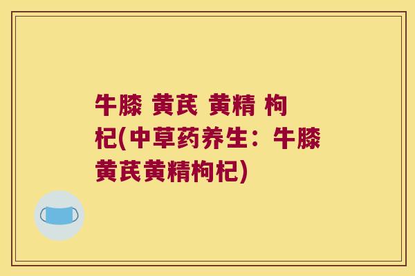 牛膝 黄芪 黄精 枸杞(中草药养生:牛膝黄芪黄精枸杞) 牛膝 黄芪 黄精 枸杞(中草药养生:牛膝黄芪黄精枸杞)