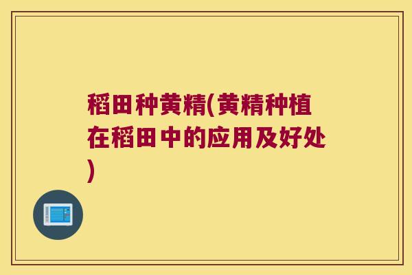 稻田种黄精(黄精种植在稻田中的应用及好处) 稻田种黄精(黄精种植在稻田中的应用及好处)