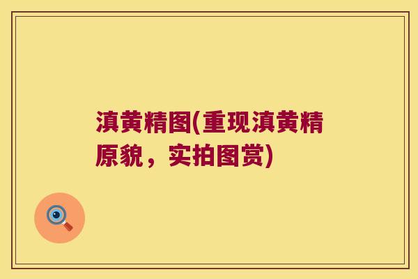 滇黄精图(重现滇黄精原貌,实拍图赏) 滇黄精图(重现滇黄精原貌,实拍图赏)