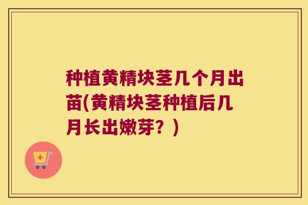 种植黄精块茎几个月出苗(黄精块茎种植后几月长出嫩芽?) 种植黄精块茎几个月出苗(黄精块茎种植后几月长出嫩芽?)