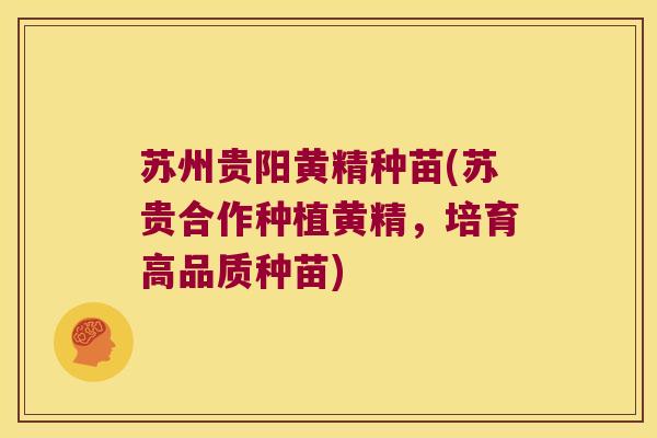 苏州贵阳黄精种苗(苏贵合作种植黄精，培育高品质种苗)
