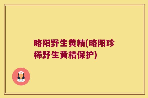 略阳野生黄精(略阳珍稀野生黄精保护) 略阳野生黄精(略阳珍稀野生黄精保护)