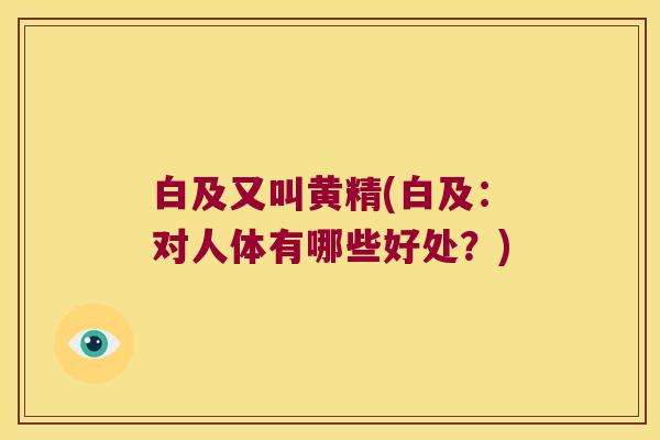 白及又叫黄精(白及:对人体有哪些好处?) 白及又叫黄精(白及:对人体有哪些好处?)