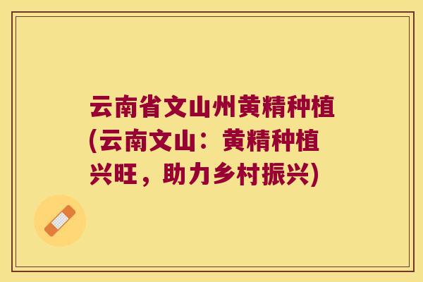 云南省文山州黄精种植(云南文山:黄精种植兴旺,助力乡村振兴) 云南省文山州黄精种植(云南文山:黄精种植兴旺,助力乡村振兴)