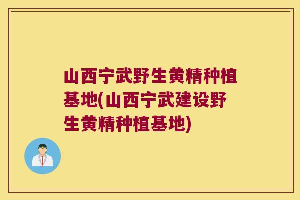 山西宁武野生黄精种植基地(山西宁武建设野生黄精种植基地)