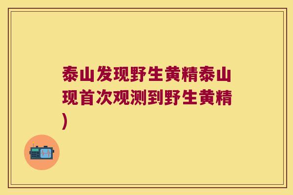 泰山发现野生黄精泰山现首次观测到野生黄精)
