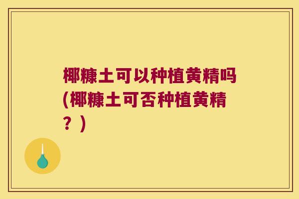 椰糠土可以种植黄精吗(椰糠土可否种植黄精？)