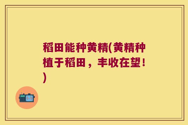 稻田能种黄精(黄精种植于稻田，丰收在望！)