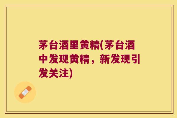茅台酒里黄精(茅台酒中发现黄精,新发现引发关注) 茅台酒里黄精(茅台酒中发现黄精,新发现引发关注)