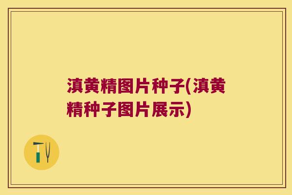 滇黄精图片种子(滇黄精种子图片展示)