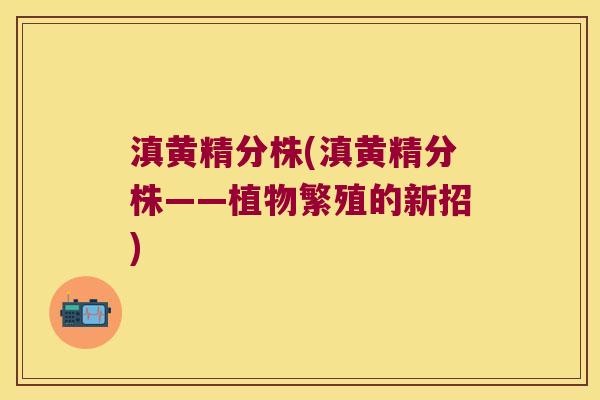 滇黄精分株(滇黄精分株——植物繁殖的新招)