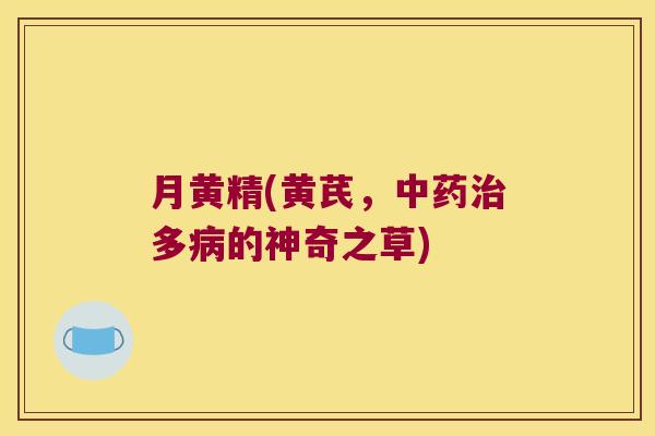月黄精(黄芪，多的神奇之草)