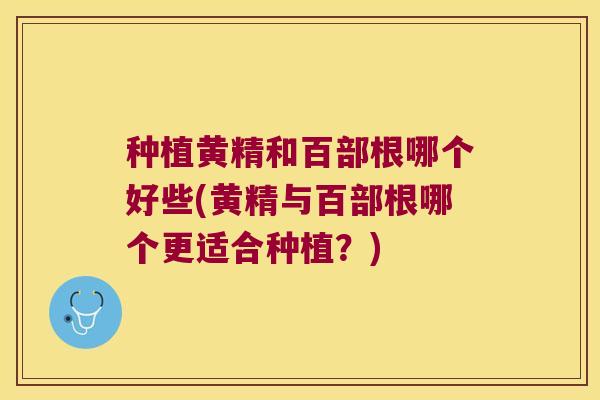 种植黄精和百部根哪个好些(黄精与百部根哪个更适合种植？)
