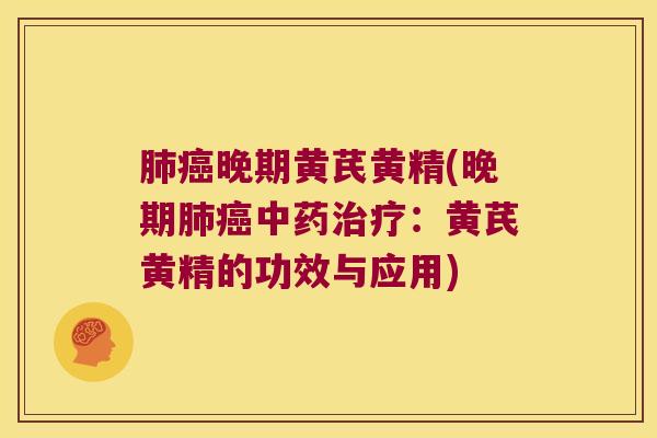 晚期黄芪黄精(晚期：黄芪黄精的功效与应用)