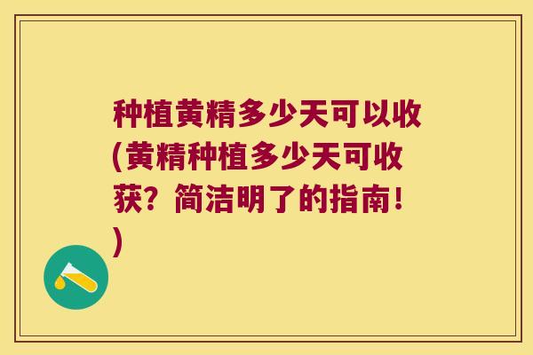 种植黄精多少天可以收(黄精种植多少天可收获？简洁明了的指南！)