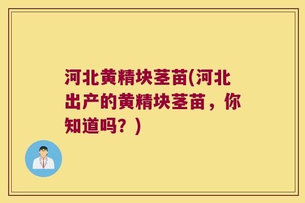 河北黄精块茎苗(河北出产的黄精块茎苗，你知道吗？)