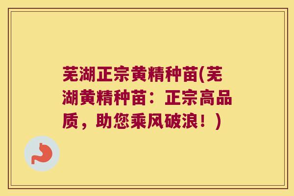 芜湖正宗黄精种苗(芜湖黄精种苗：正宗高品质，助您乘风破浪！)