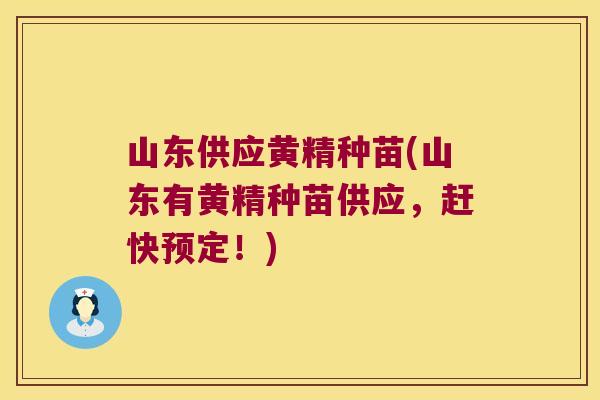 山东供应黄精种苗(山东有黄精种苗供应，赶快预定！)