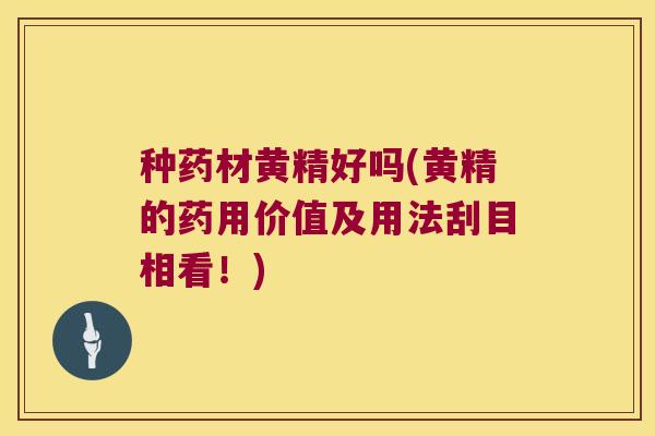 种药材黄精好吗(黄精的药用价值及用法刮目相看！)