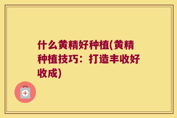 什么黄精好种植(黄精种植技巧:打造丰收好收成) 什么黄精好种植(黄精种植技巧:打造丰收好收成)
