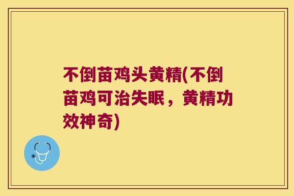 不倒苗鸡头黄精(不倒苗鸡可，黄精功效神奇)